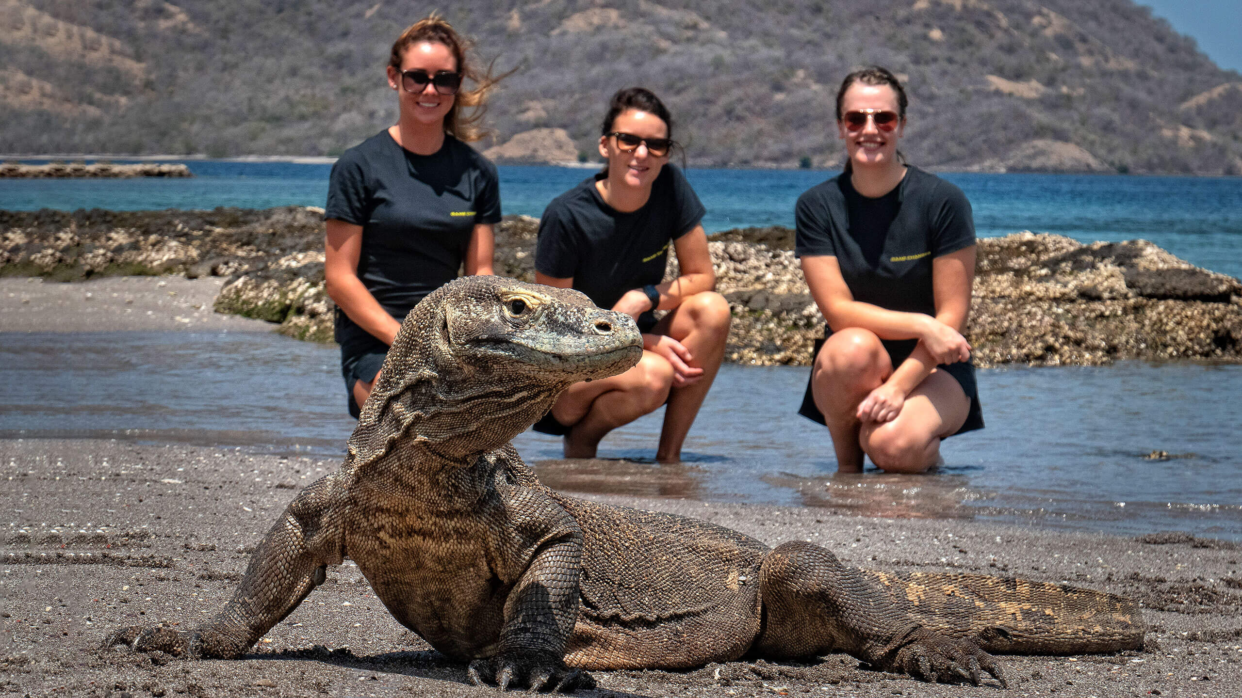 komodo