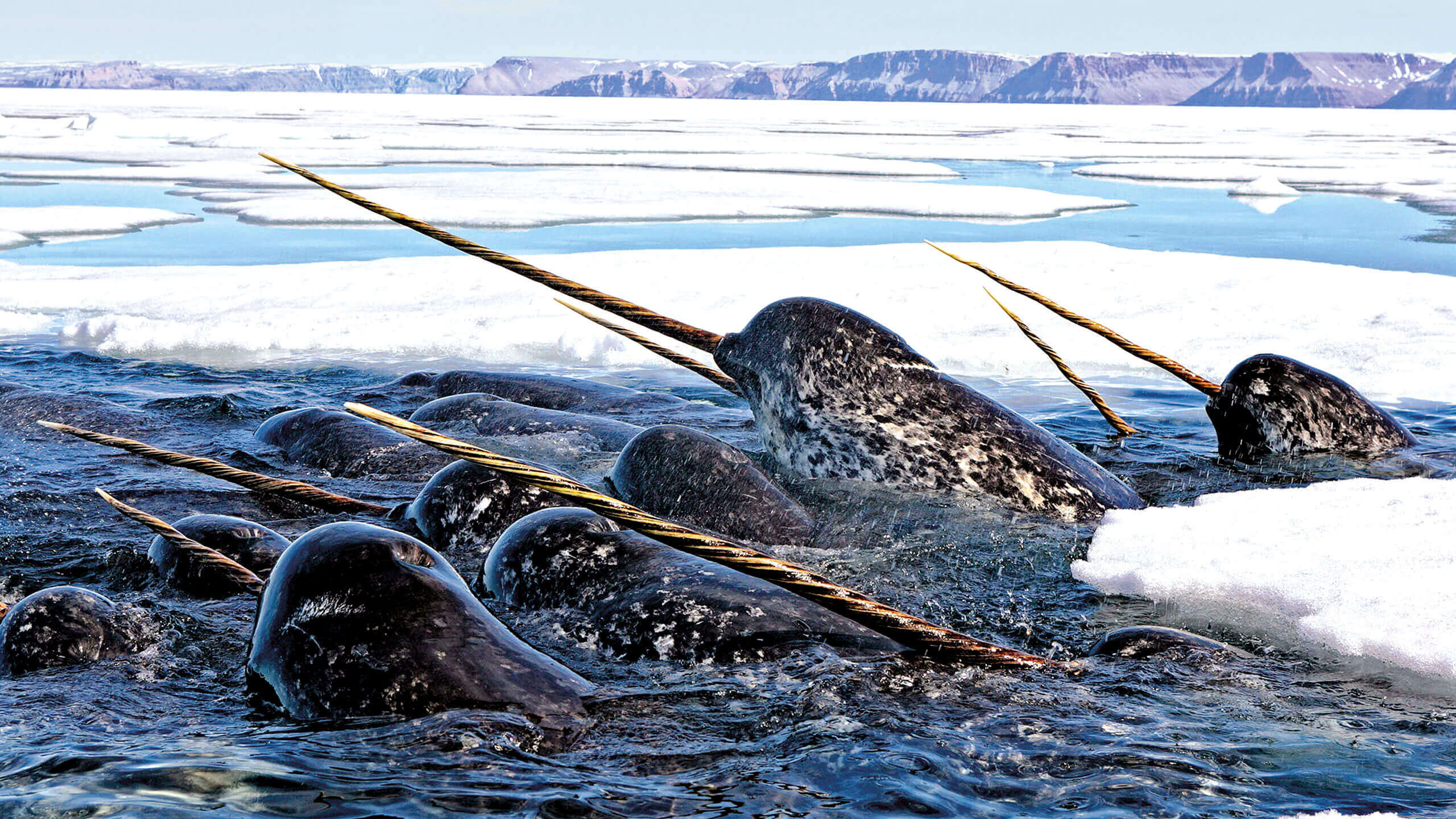 north west passage