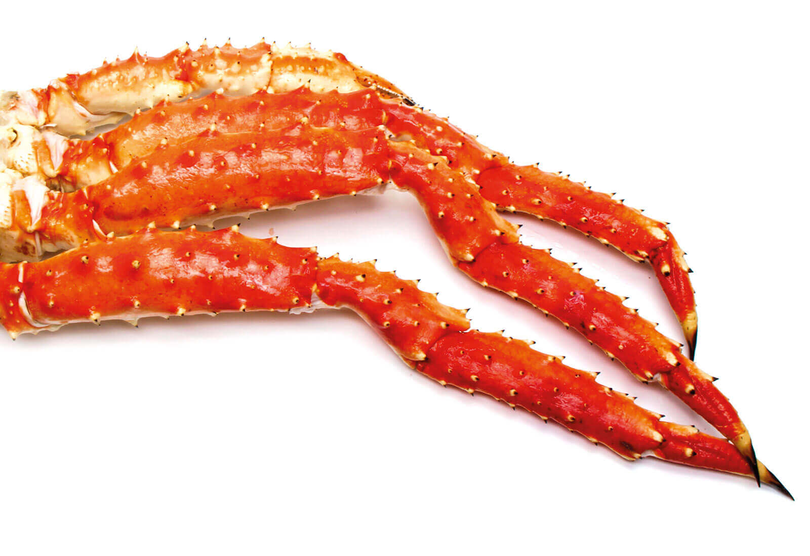 crabs legs