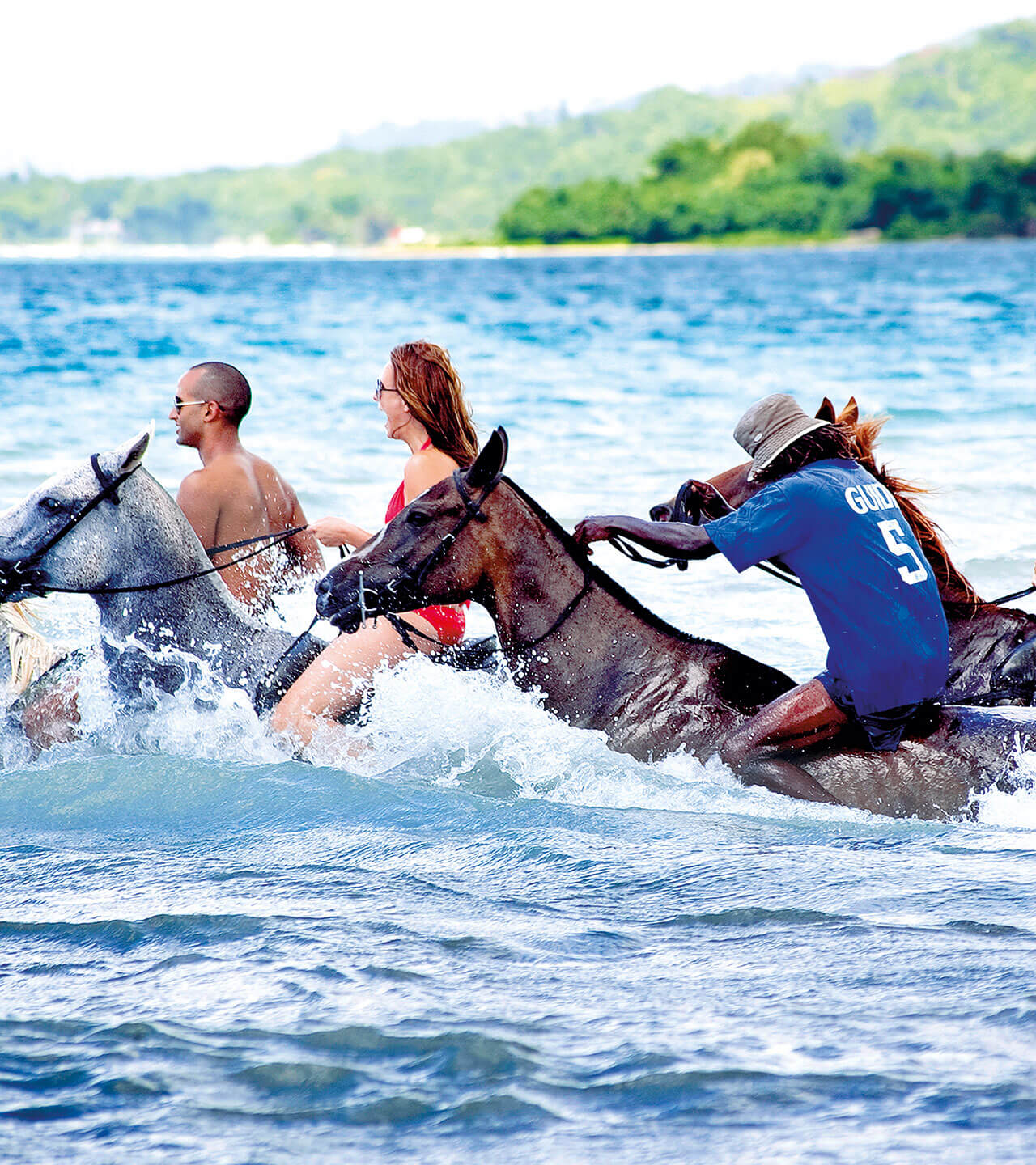 horses in the sea