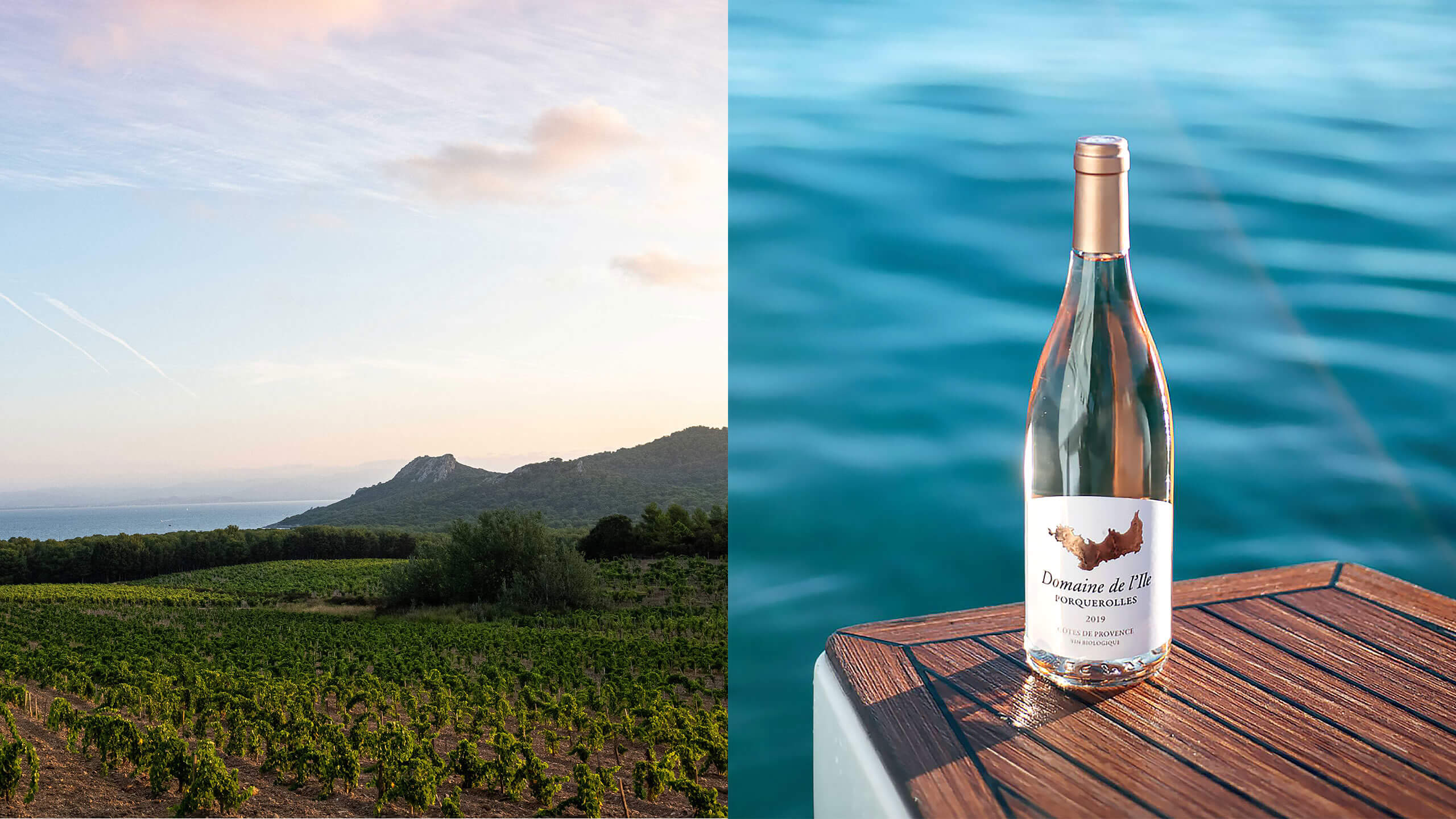 Domaine de L’Ile vineyard