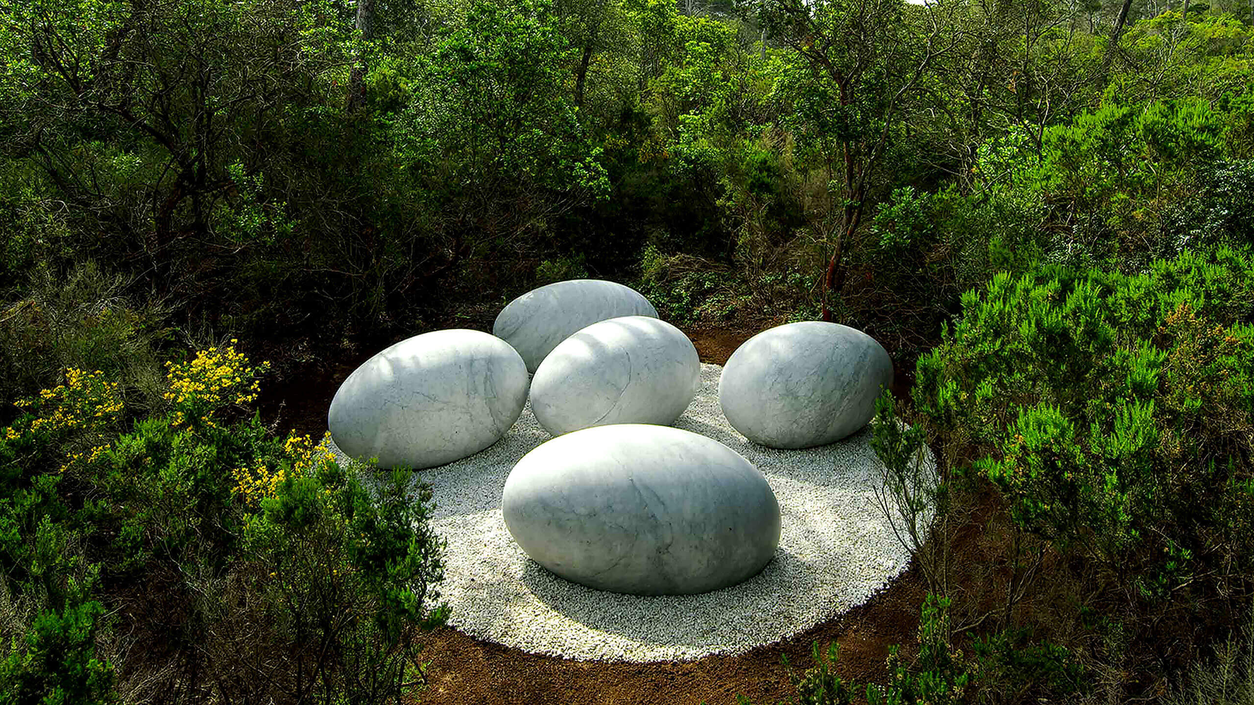 Fondation Carmignac’s forest