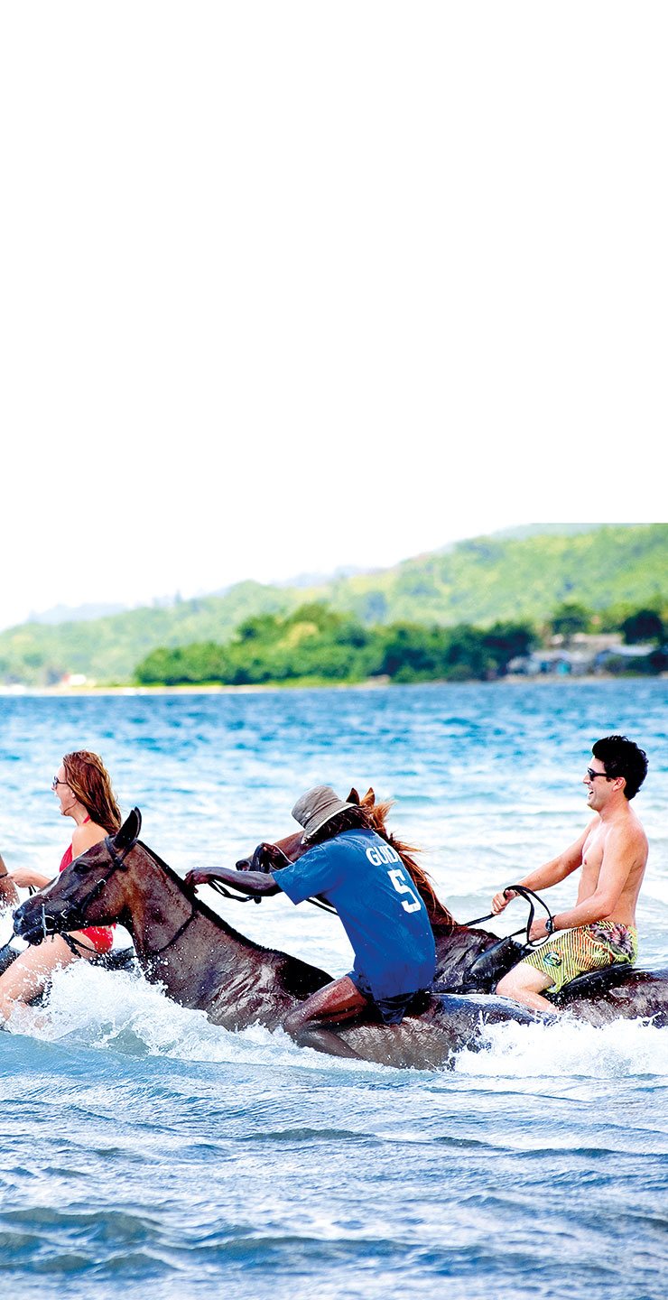 horses in the sea