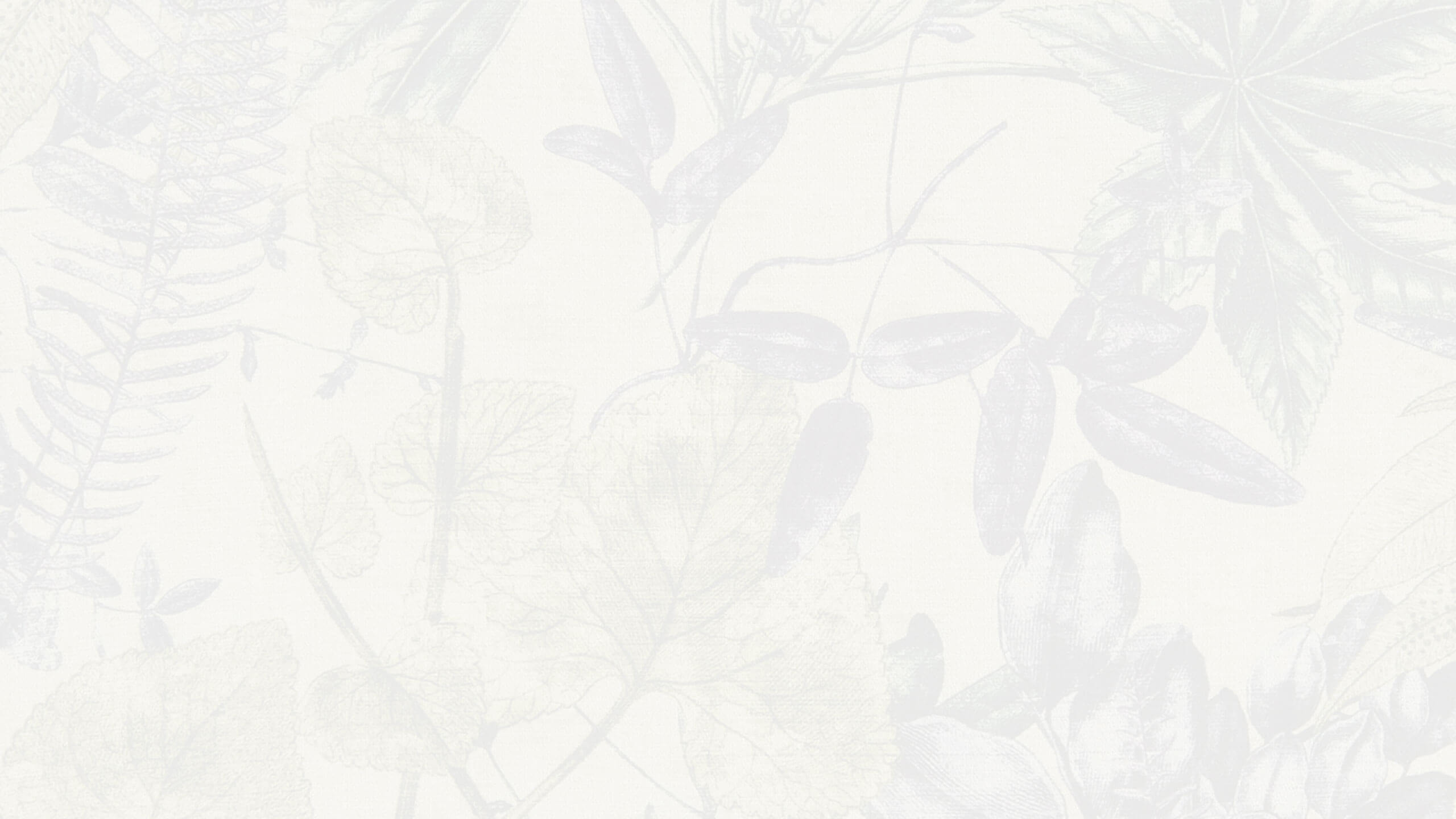 Madagascar Background