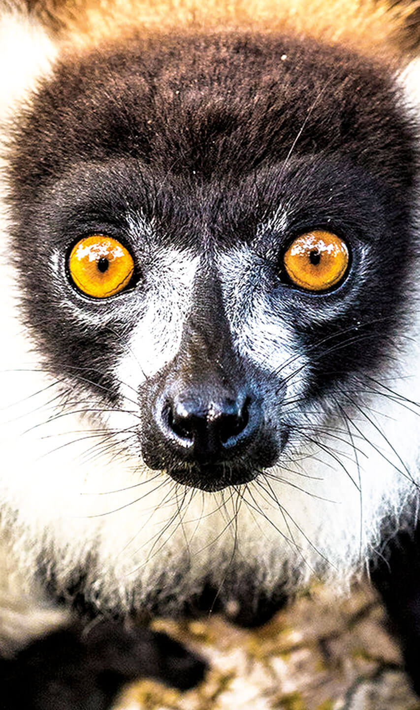 MADAGASCAR