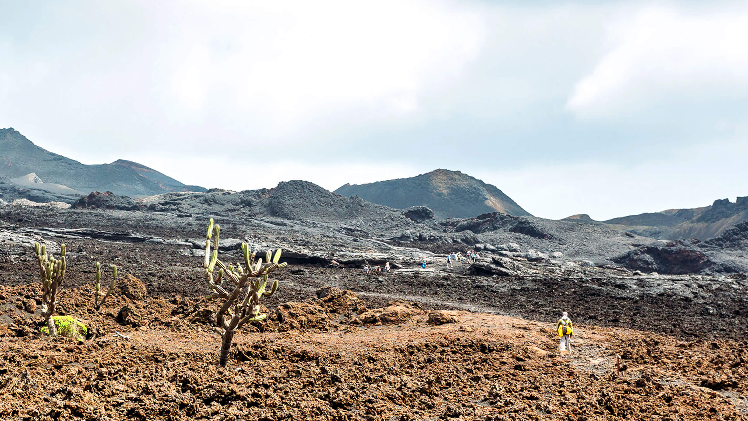 Trek across volcanoes