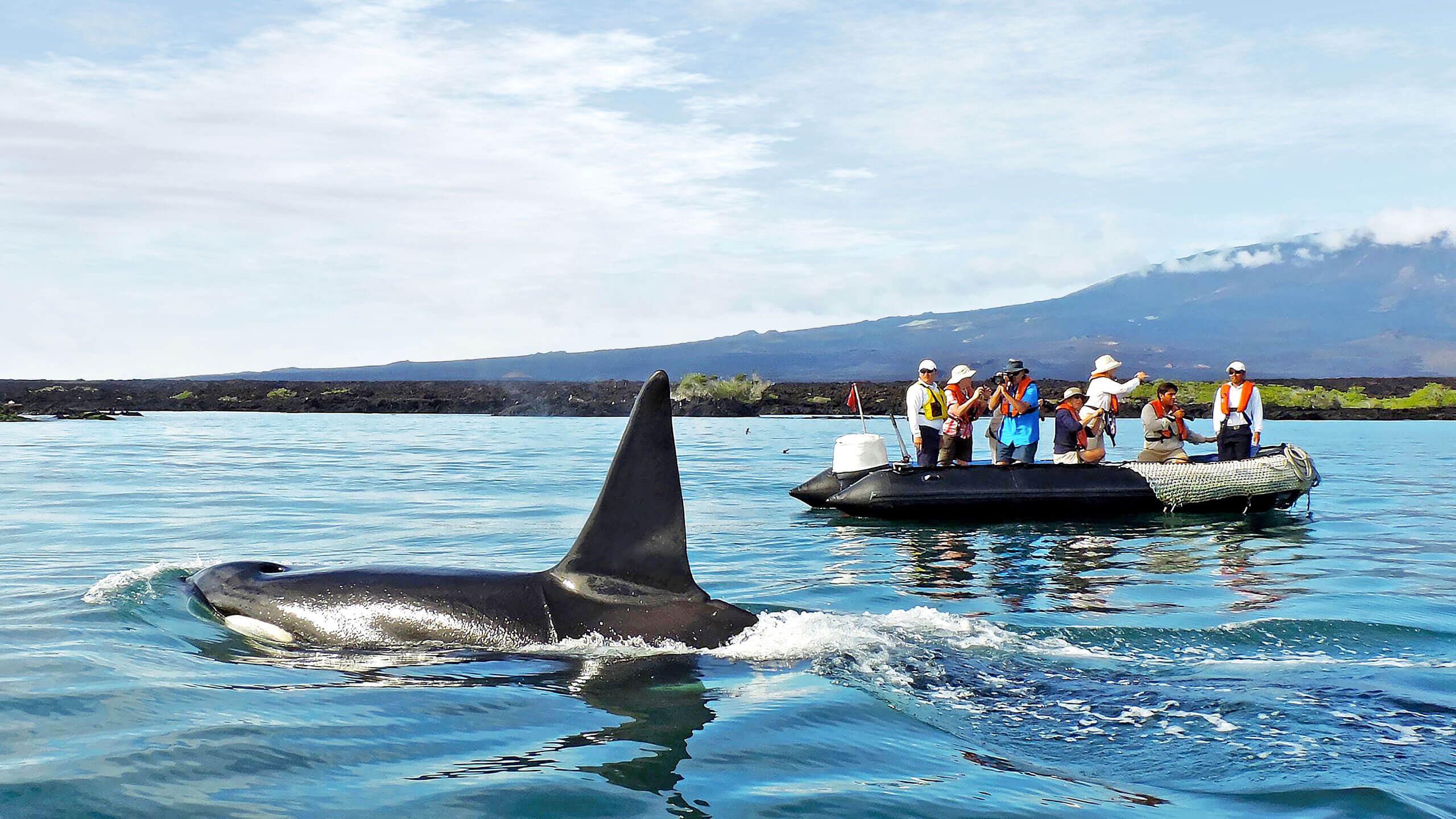 Trek across volcanoes, meet the penguins, takes snaps of a passing orca