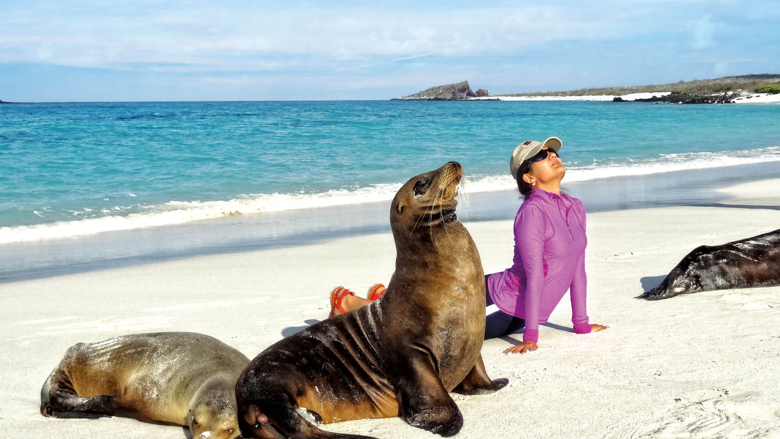 Trek across volcanoes, meet the penguins, takes snaps of a passing orca and practise yoga with seals