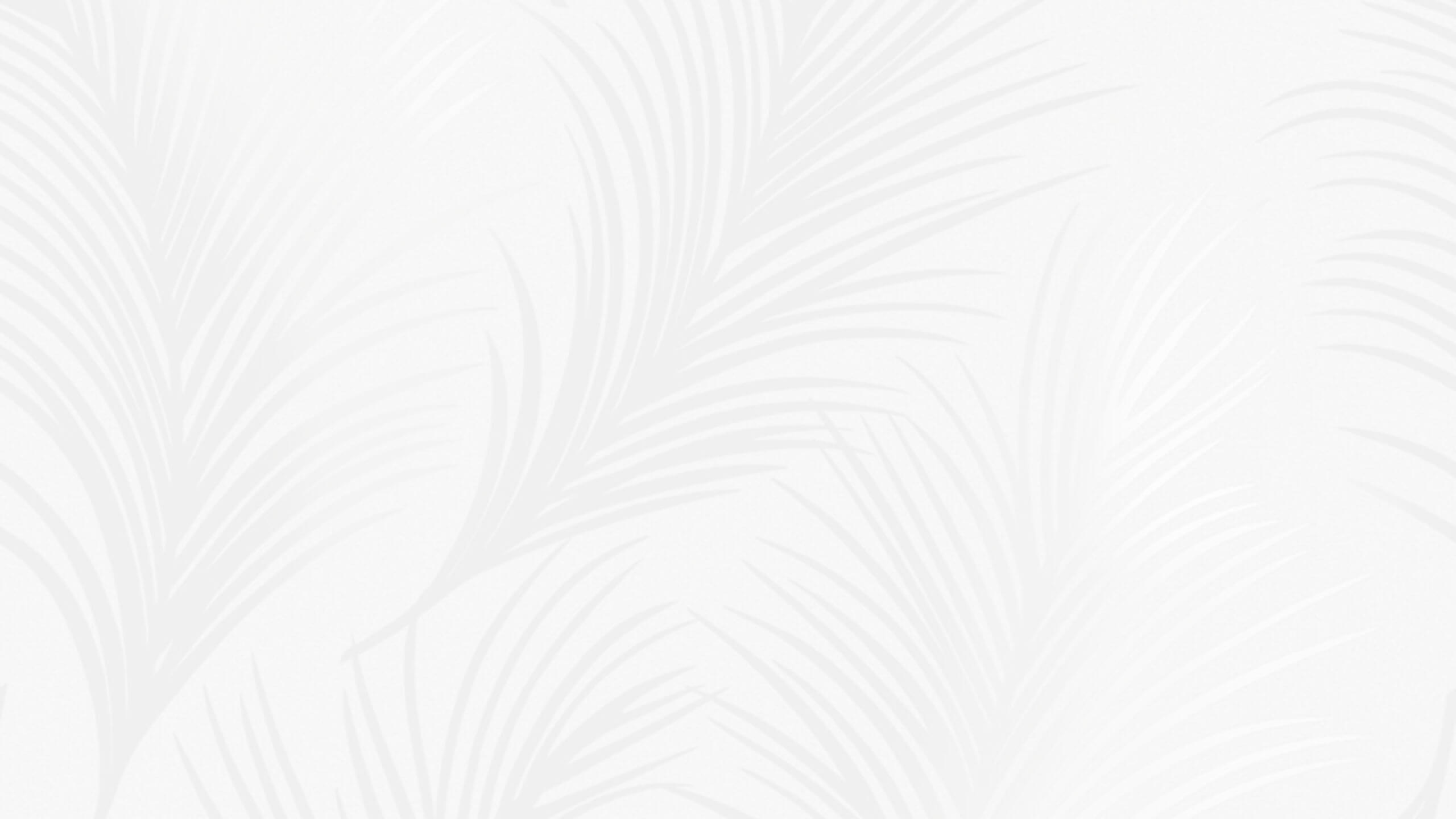 original origins background