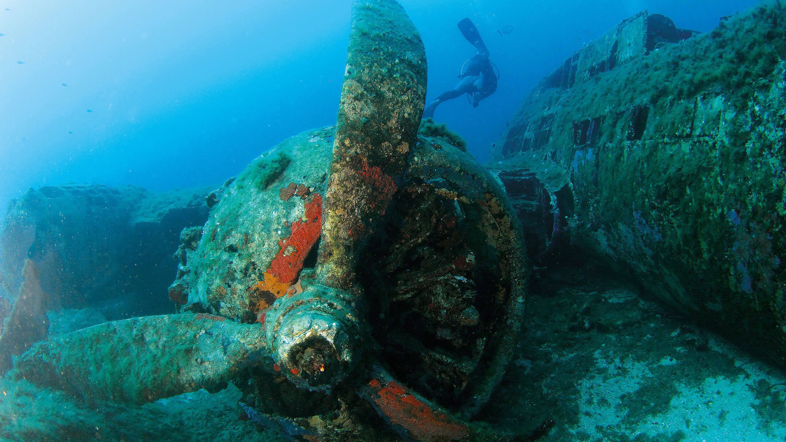 ship wreck