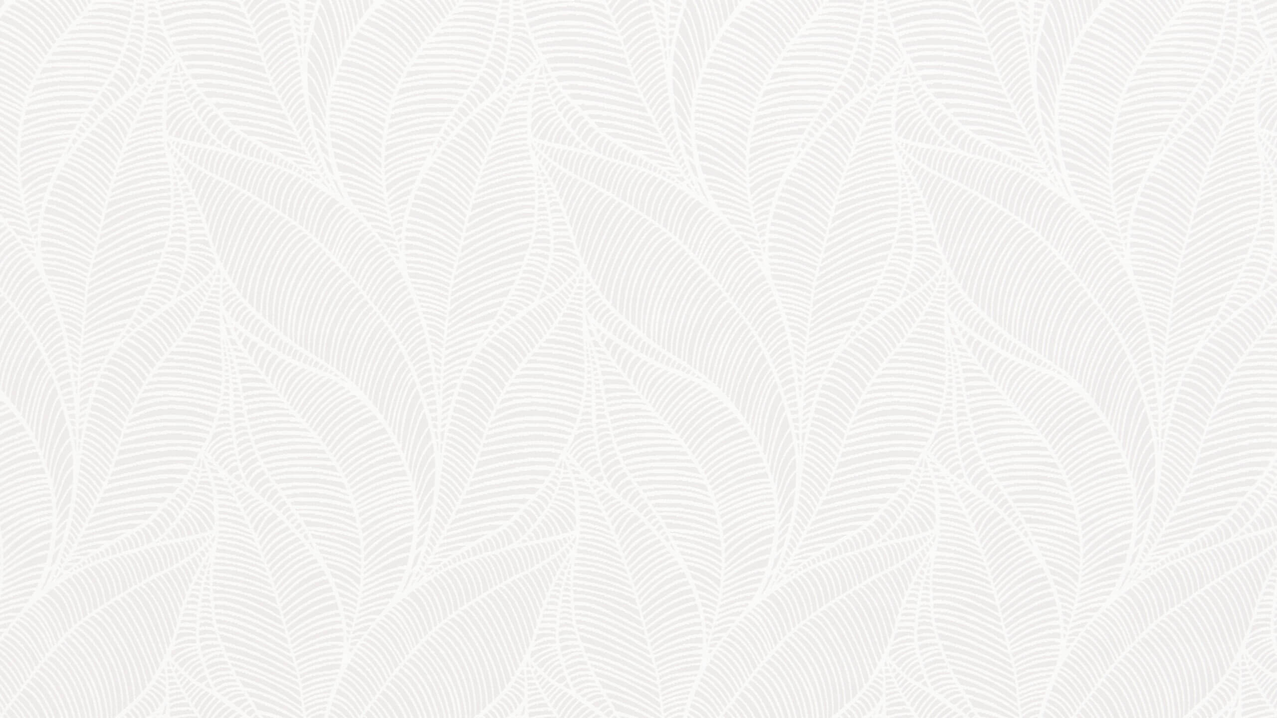 pacific background